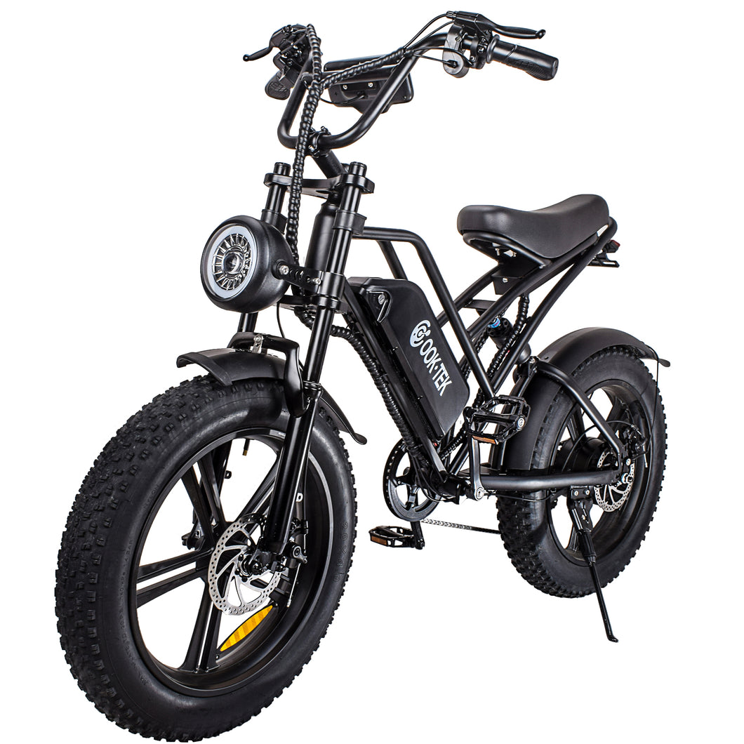 iRerts Adult Electric Bike, E-Bike for Adults with 750W Motor, 48V 15AH Battery, 20